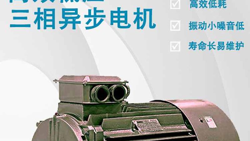 台达伺服电机价格揭秘：性价比背后的考量因素**